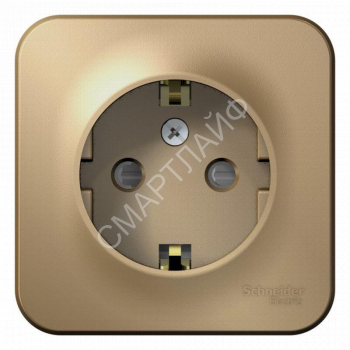 Розетка 1-м ОП Blanca 16А IP20 250В с заземл. защ. шторки с изолир. пластиной титан SE BLNRA011114 - smartlife-ural.ru – Екатеринбург