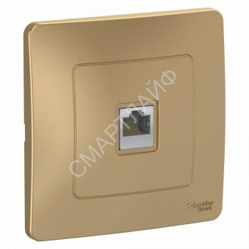 Розетка компьютерная 1-м СП Blanca RJ45 кат.5E титан SE BLNIS045004 - smartlife-ural.ru – Екатеринбург