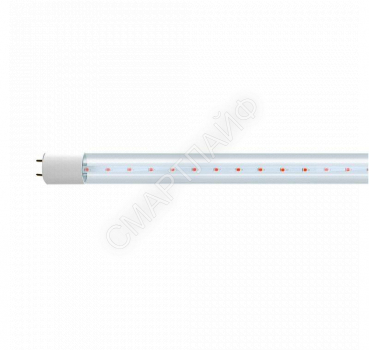 Лампа светодиодная PLED T8-1200 PPG Agro 16Вт T8 линейная G13 CL для растений красн./син. спектр Jazzway 5025912 - smartlife-ural.ru – Екатеринбург