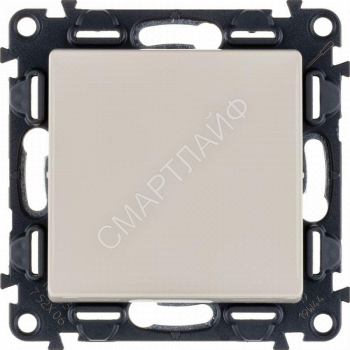 Переключатель 1-кл. СП Valena Life 10А IP20 250В 10AX с лицев. панелью безвинтов. зажимы механизм сл. кость Leg 752506 - smartlife-ural.ru – Екатеринбург