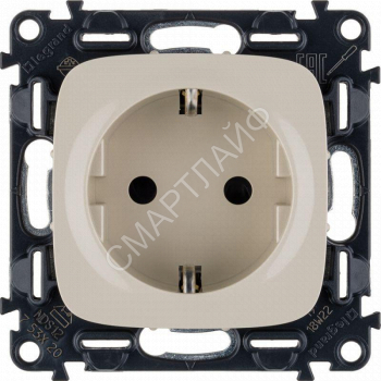 Розетка 1-м СП Valena Allure 16А IP20 250В 2P+E защ. шторки безвинтов. клеммы с лицев. панелью механизм сл. кость Leg 753820 - smartlife-ural.ru – Екатеринбург