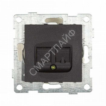 Розетка компьютерная 2-м СП Bravo RJ45 механизм графит GUSI С10К2-010 - smartlife-ural.ru – Екатеринбург