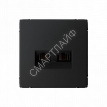 Розетка компьютерная 2-м ArtGallery 2хRJ45 кат.6A механизм карбон SE GAL001088 - smartlife-ural.ru – Екатеринбург