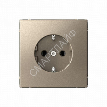 Розетка ArtGallery 16А с заземл. быстрозажим. клем. механизм шампань SE GAL000543S - smartlife-ural.ru – Екатеринбург