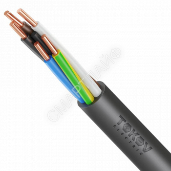 Кабель TOKOV ELECTRIC ВВГнг(А)-LS 5х10 ОК (N PE) 0.66кВ (м) УТ000028411 - smartlife-ural.ru – Екатеринбург