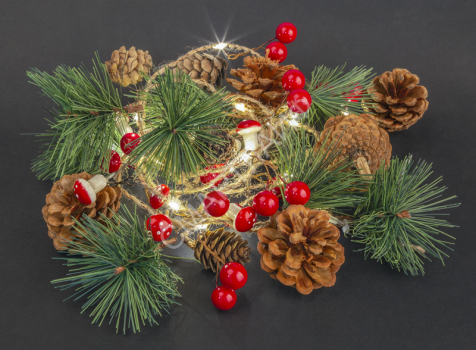 Гирлянда светодиодная "Шишки" 93 674 NGF-D024-01 2AA Navigator 93674 - smartlife-ural.ru – Екатеринбург