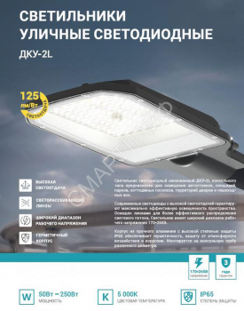 Светильник уличный линзованный светодиодный ДКУ-2L 70Вт 230В 5000К 8750лм 125лм/Вт 42-48мм IP65 NEOX 4690612057088 - smartlife-ural.ru – Екатеринбург